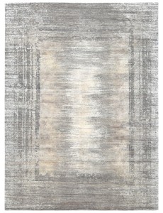 AM12196